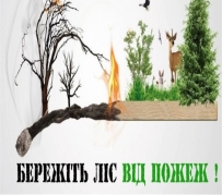 Бережіть рідну природу! | Новини | Баштанська міська територіальна громада